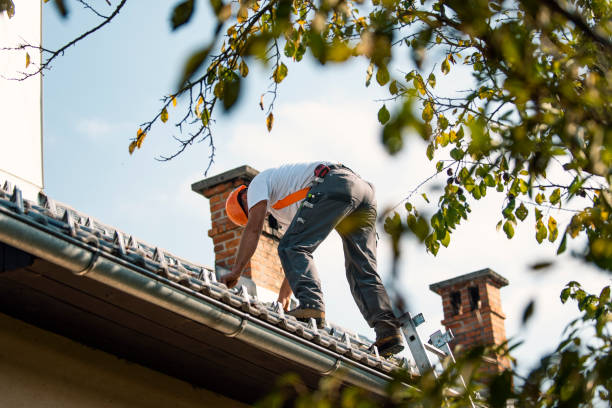 Best Metal Roofing Contractor  in Amherst, VA