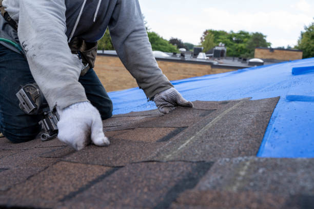 Professional Roofing Contractor in Amherst, VA