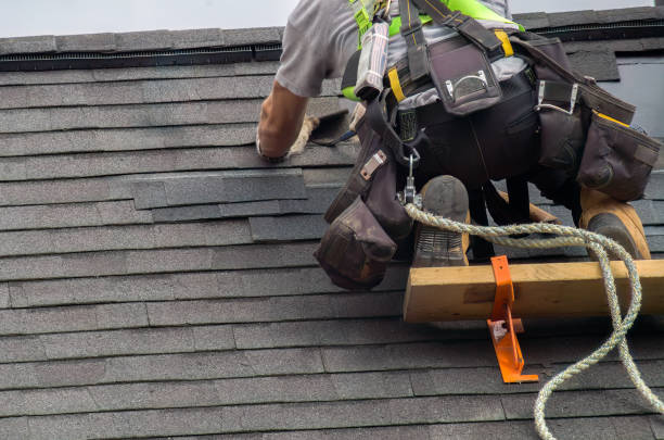 Roof Gutter Cleaning in Amherst, VA