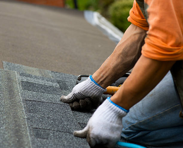 Best Roof Repair Specialists  in Amherst, VA