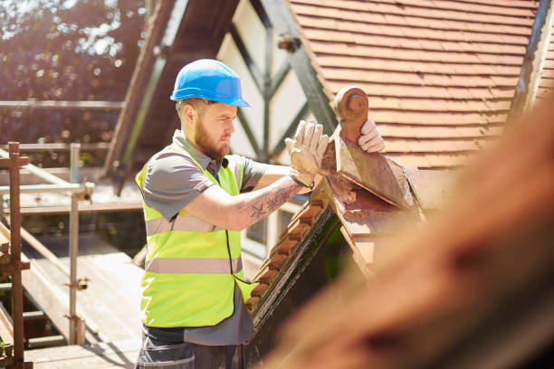 Best Roof Gutter Cleaning  in Amherst, VA